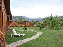 Bungalov Ağaç Evi - 01