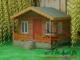 Bungalov Ağaç Evi - 02
